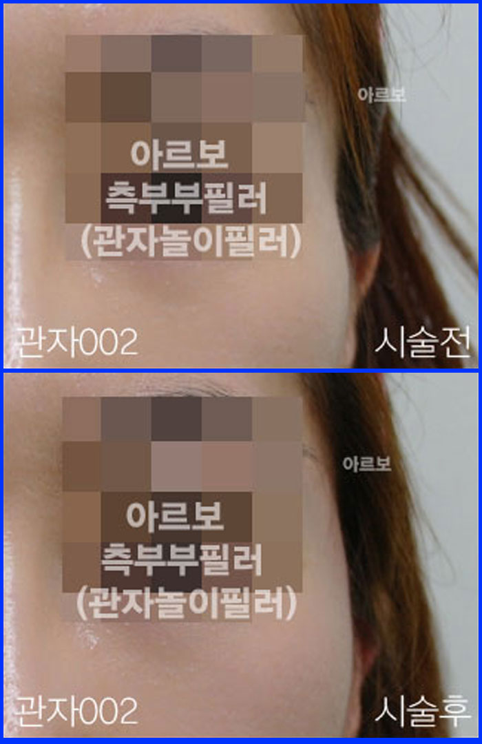 ڳʷ,ڳ븮ʷ