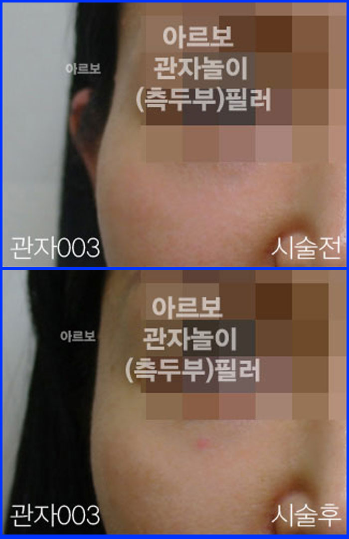 ڳʷ,ڳ븮ʷ
