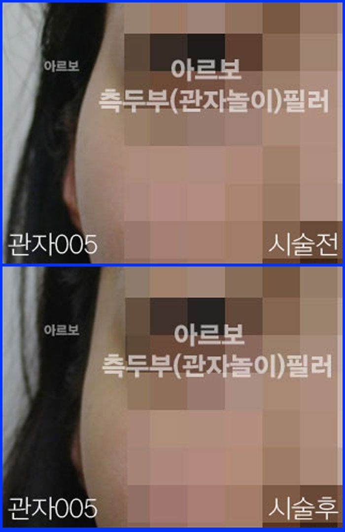 ڳʷ,ڳ븮ʷ