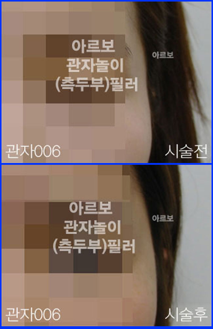 ڳʷ,ڳ븮ʷ