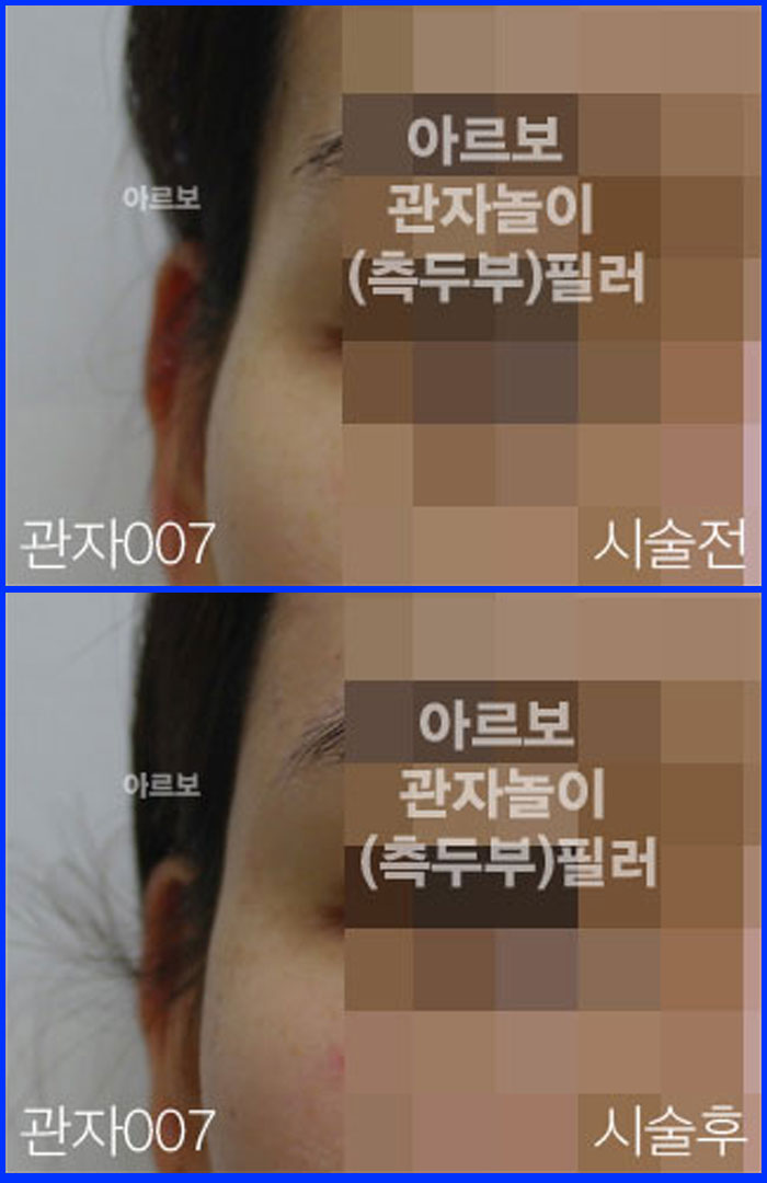 ڳʷ,ڳ븮ʷ