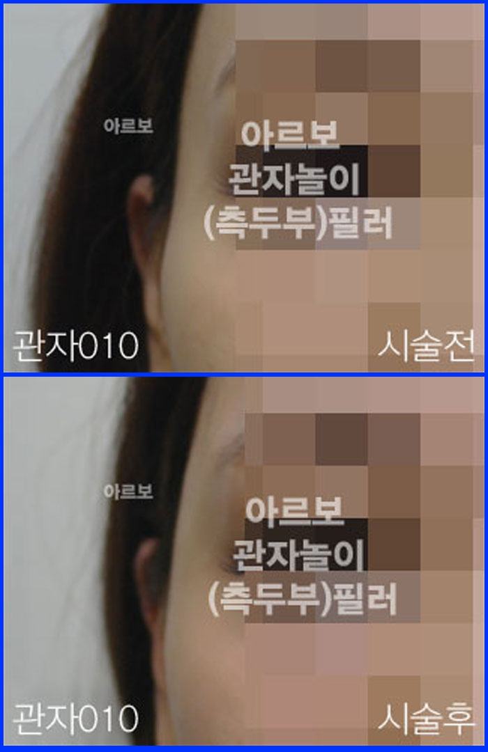 ڳʷ,ڳ븮ʷ