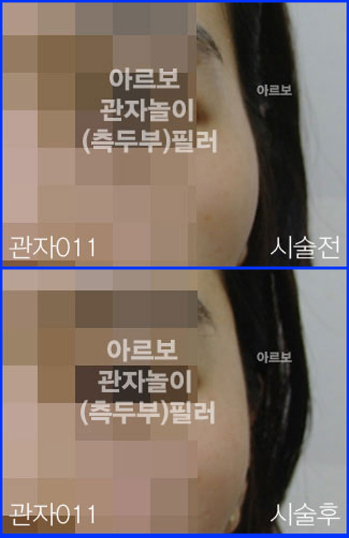 ڳʷ,ڳ븮ʷ