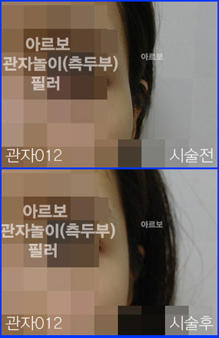 ڳʷ,ڳ븮ʷ