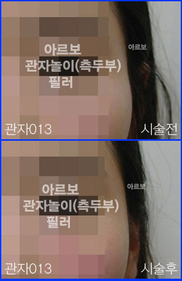 ڳʷ,ڳ븮ʷ