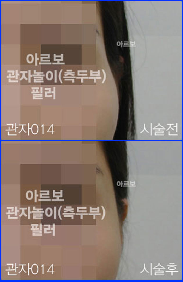 ڳʷ,ڳ븮ʷ