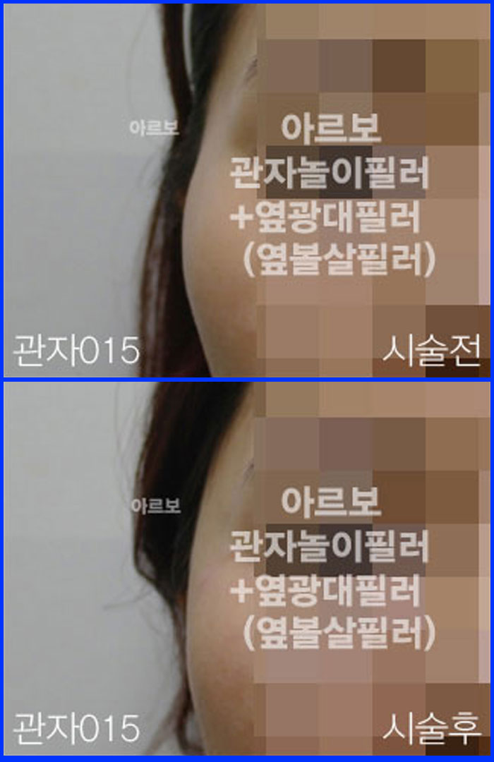 ڳʷ,ڳ븮ʷ