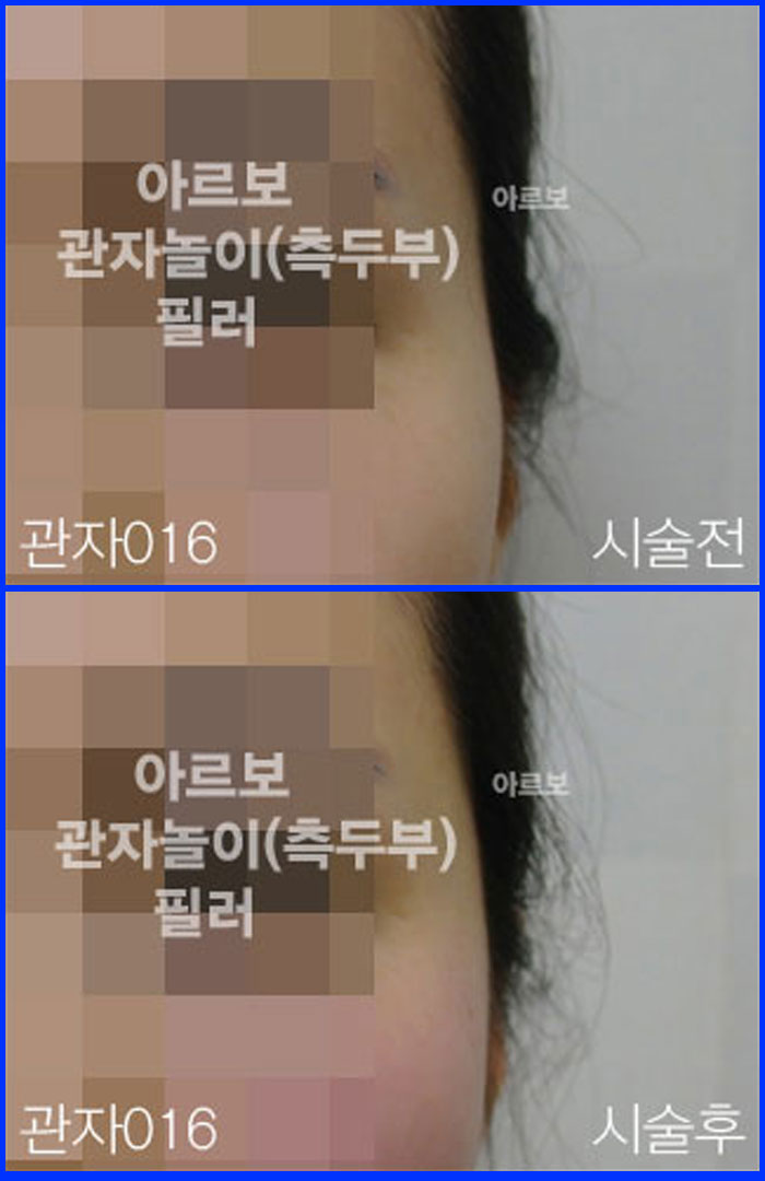 ڳʷ,ڳ븮ʷ
