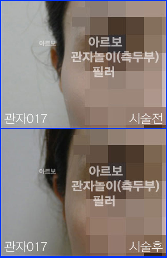 ڳʷ,ڳ븮ʷ