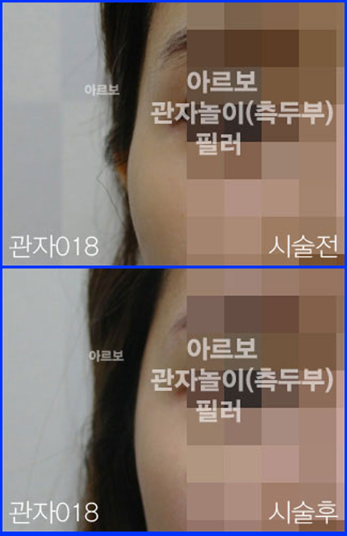 ڳʷ,ڳ븮ʷ