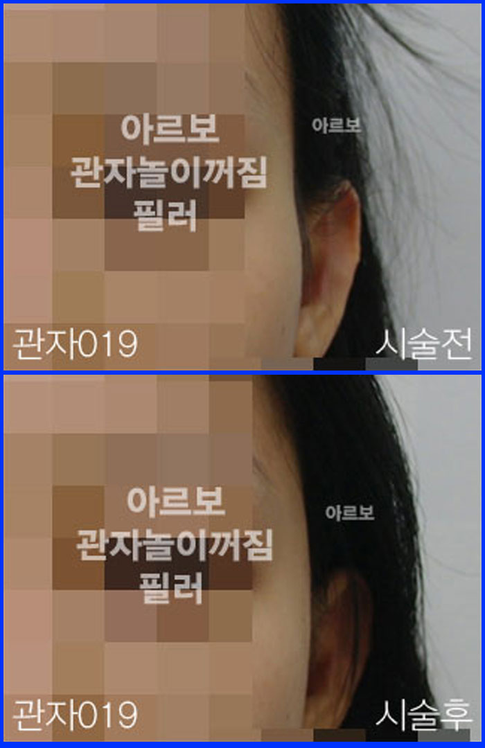 ڳʷ,ڳ븮ʷ