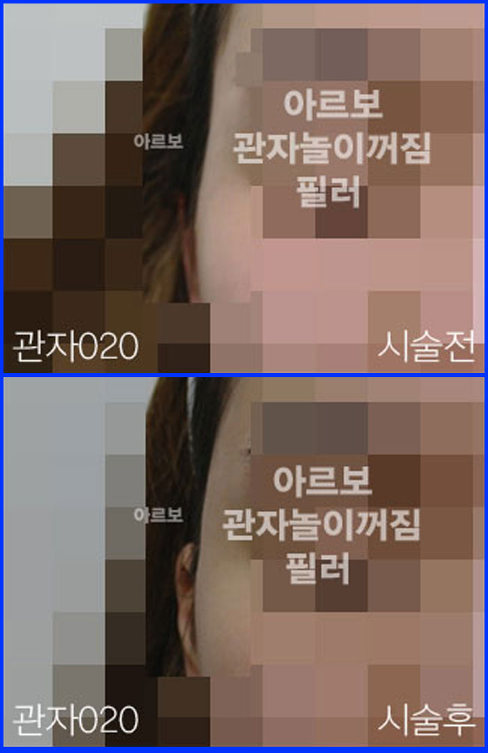 ڳʷ,ڳ븮ʷ