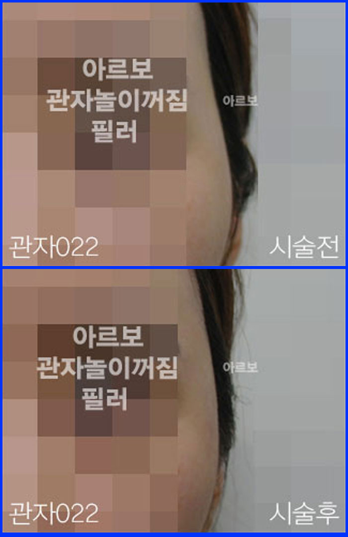ڳʷ,ڳ븮ʷ