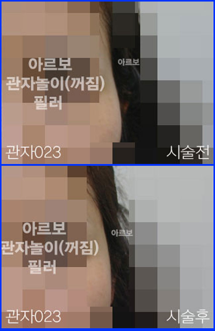 ڳʷ,ڳ븮ʷ