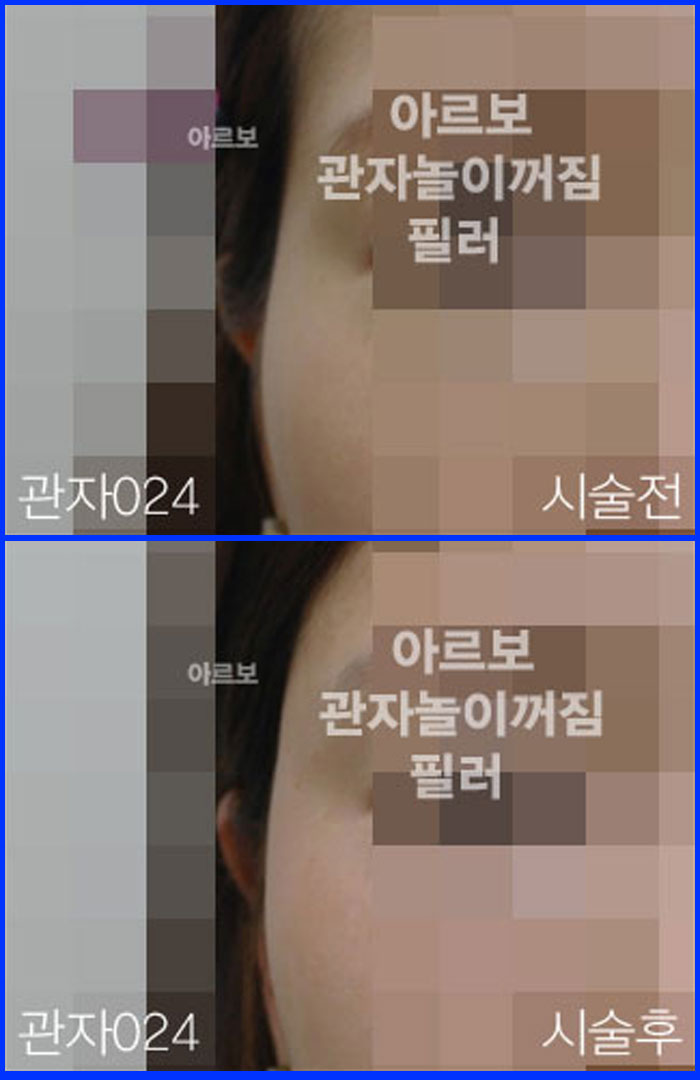 ڳʷ,ڳ븮ʷ