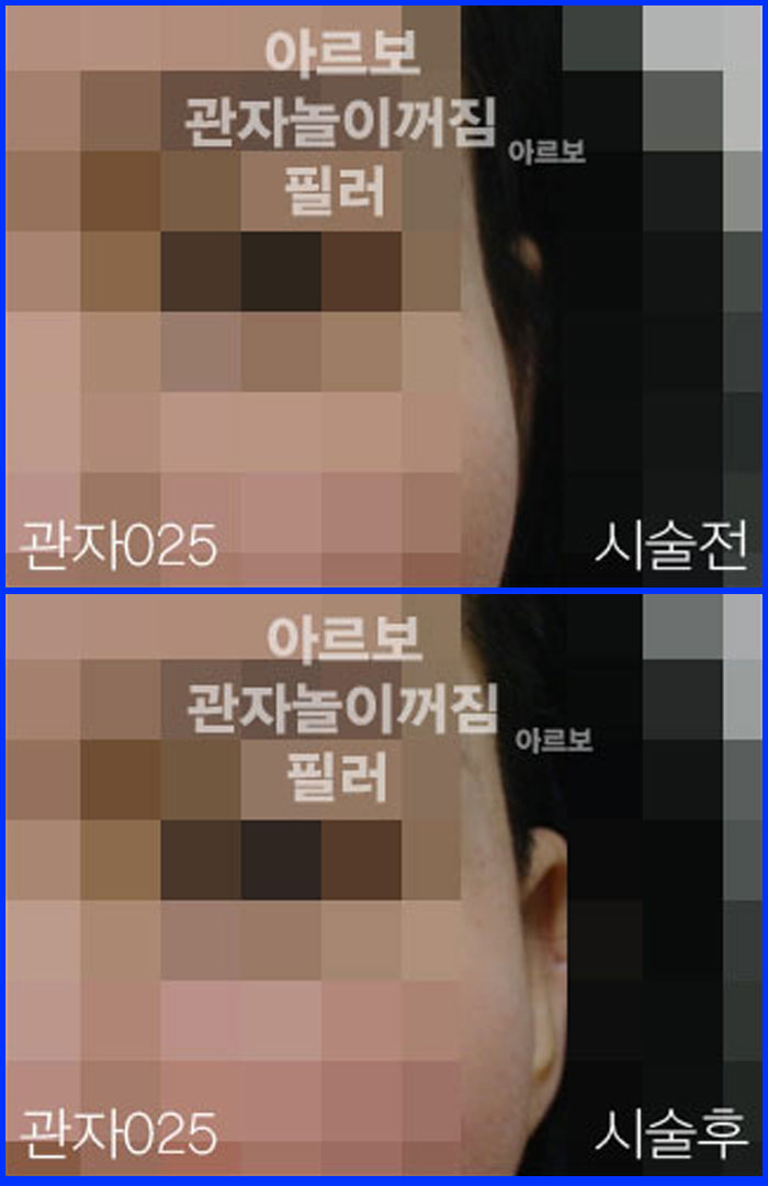 ڳʷ,ڳ븮ʷ