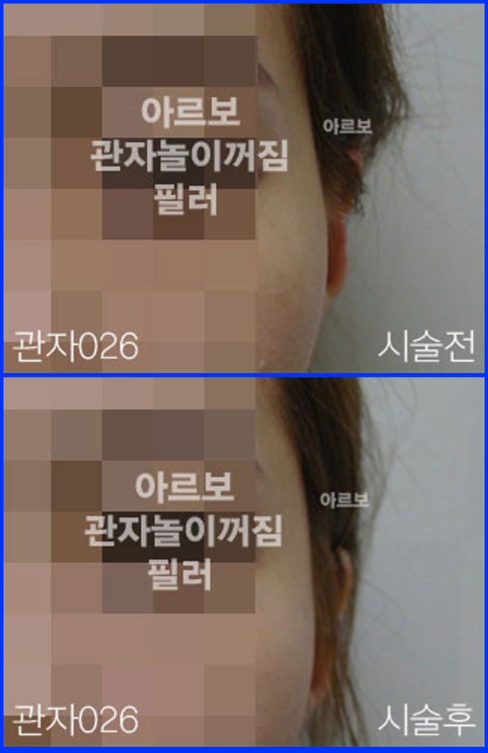 ڳʷ,ڳ븮ʷ
