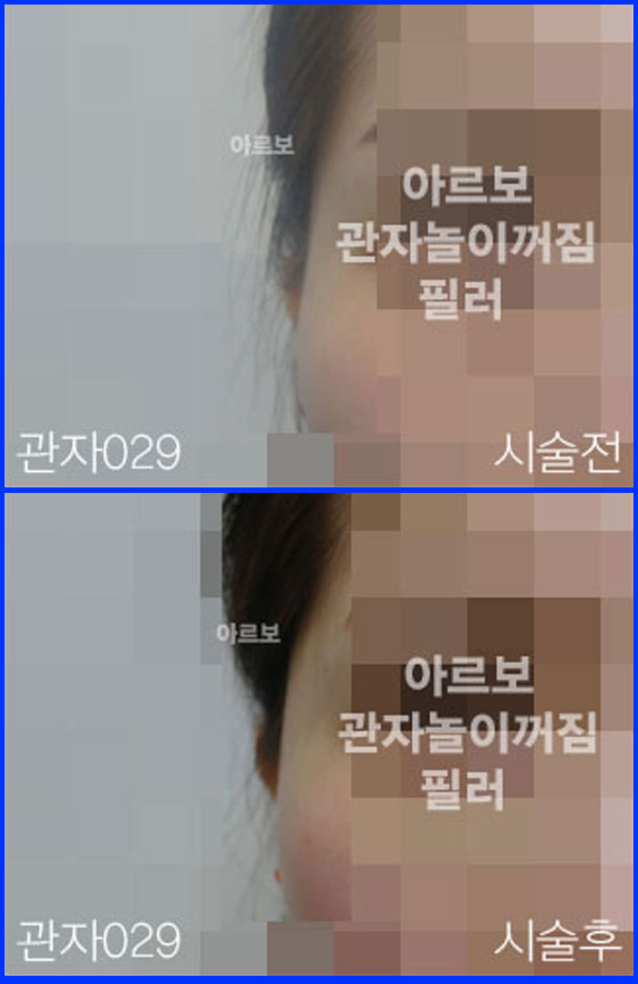 ڳʷ,ڳ븮ʷ
