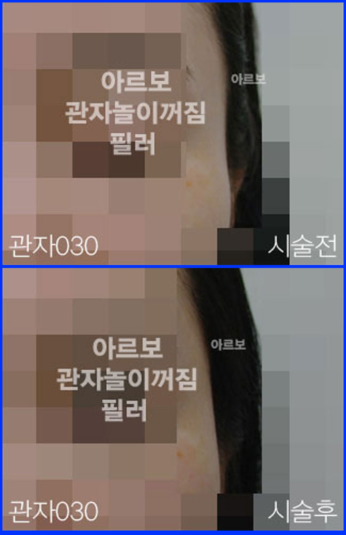 ڳʷ,ڳ븮ʷ
