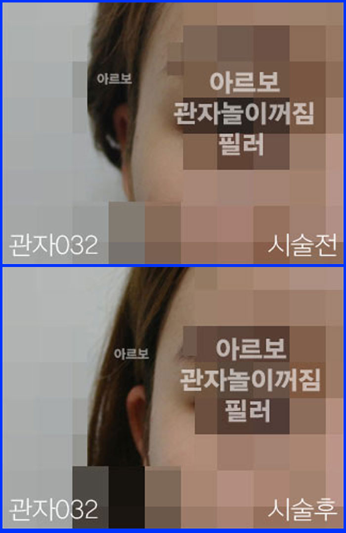 ڳʷ,ڳ븮ʷ