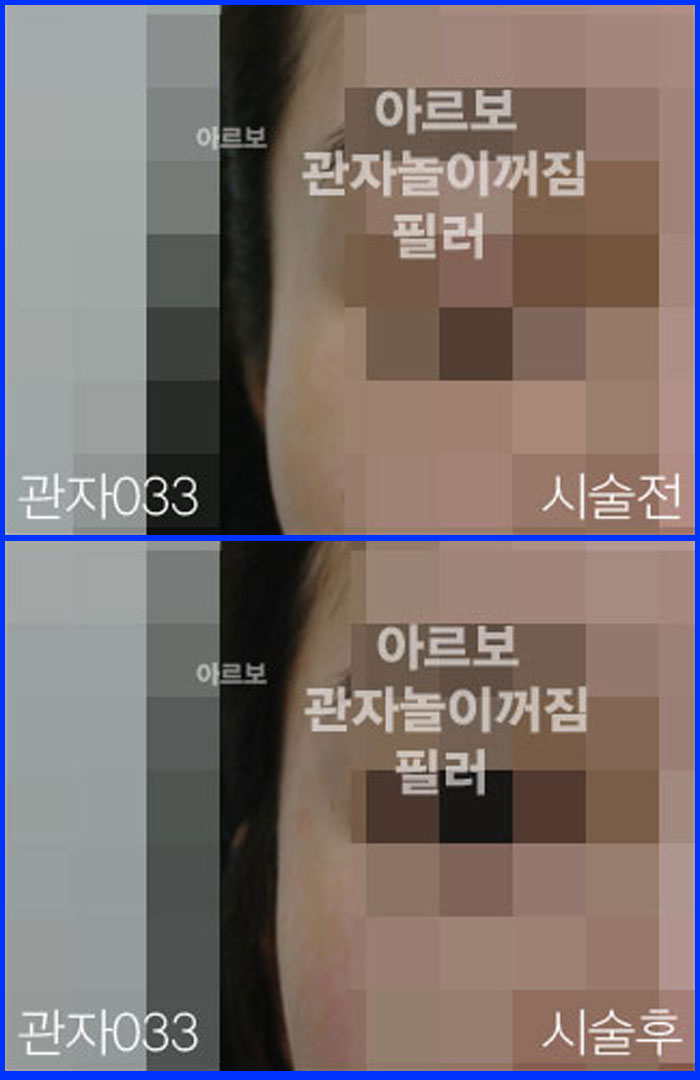 ڳʷ,ڳ븮ʷ