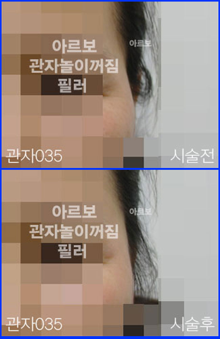 ڳʷ,ڳ븮ʷ