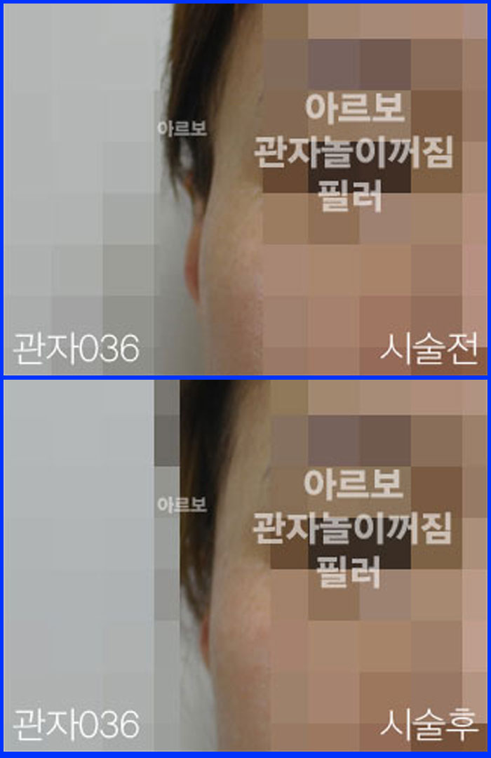 ڳʷ,ڳ븮ʷ