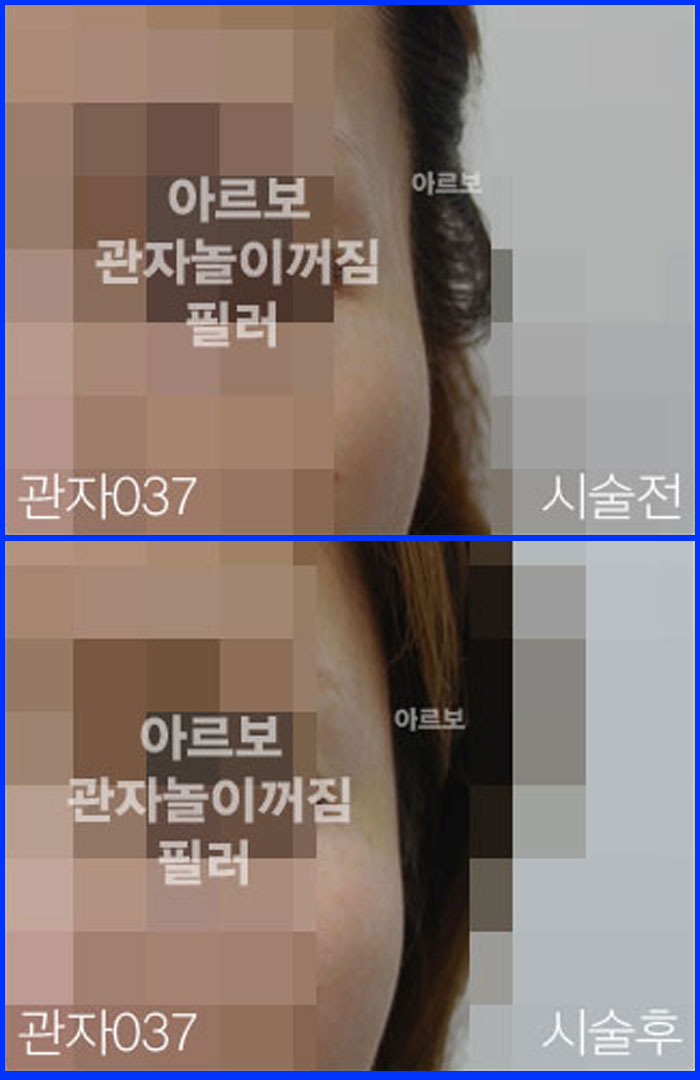 ڳʷ,ڳ븮ʷ