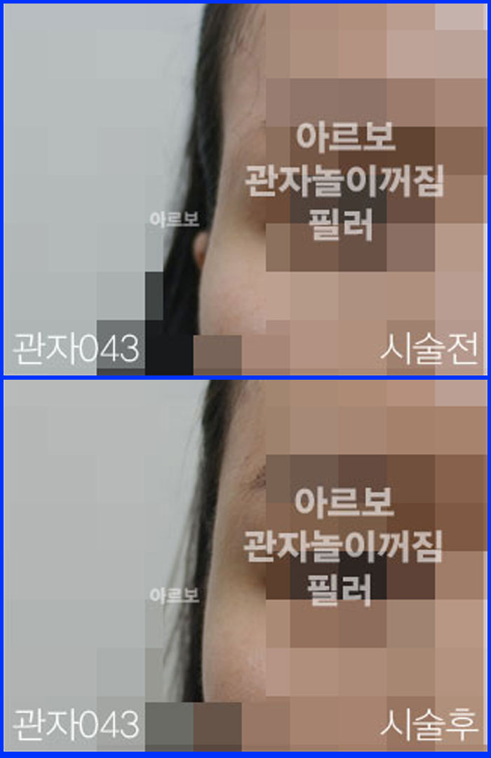 ڳʷ,ڳ븮ʷ