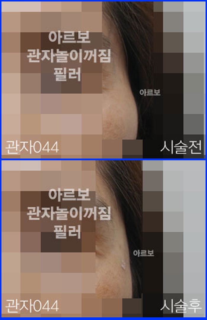 ڳʷ,ڳ븮ʷ
