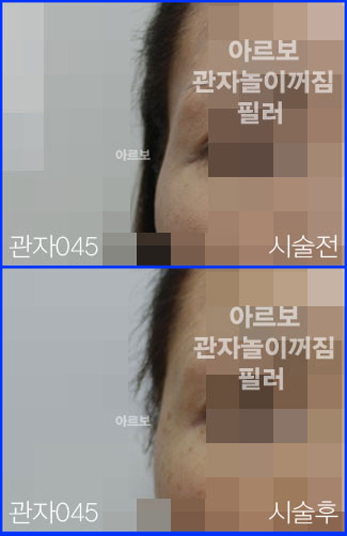 ڳʷ,ڳ븮ʷ