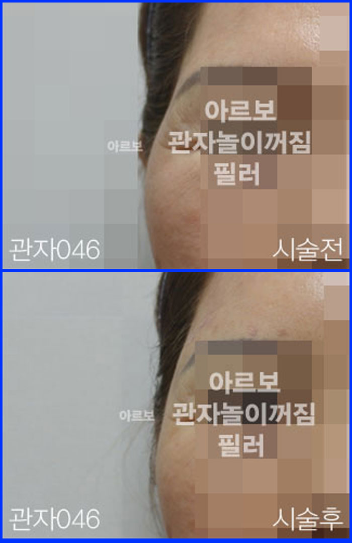 ڳʷ,ڳ븮ʷ