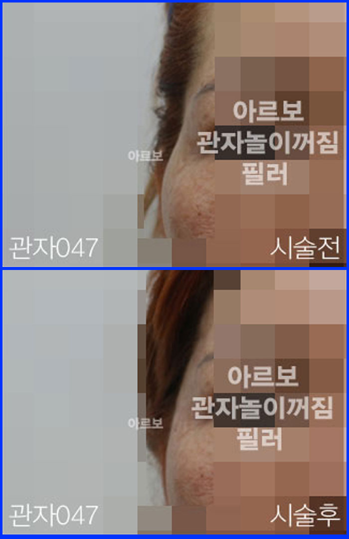 ڳʷ,ڳ븮ʷ