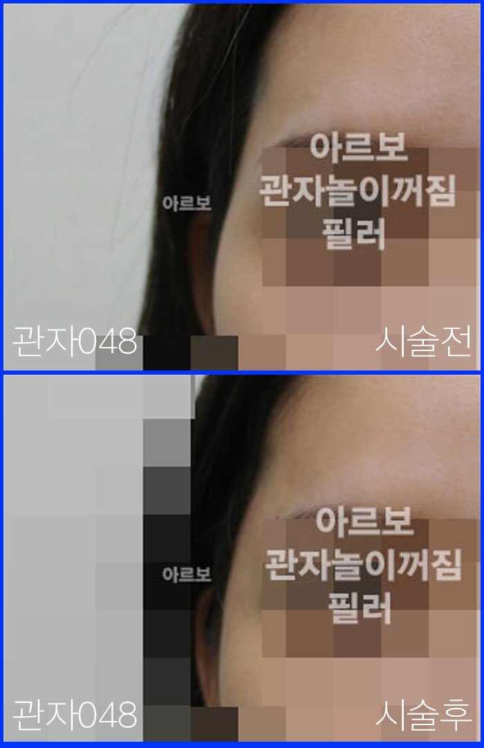 ڳʷ,ڳ븮ʷ