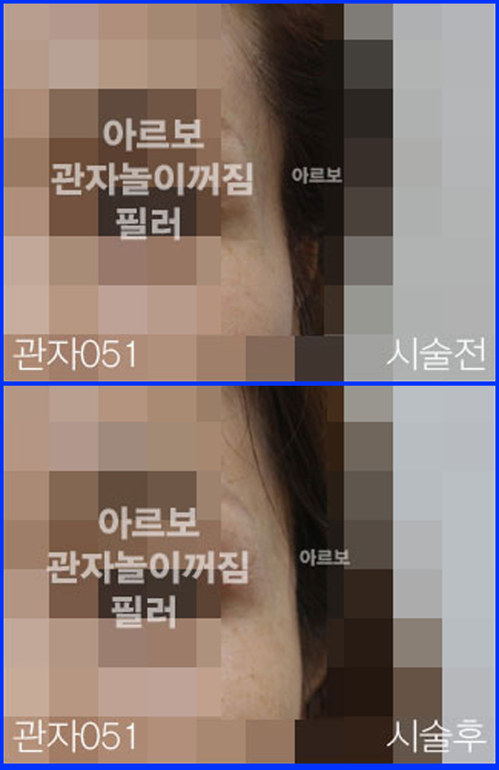 ڳʷ,ڳ븮ʷ