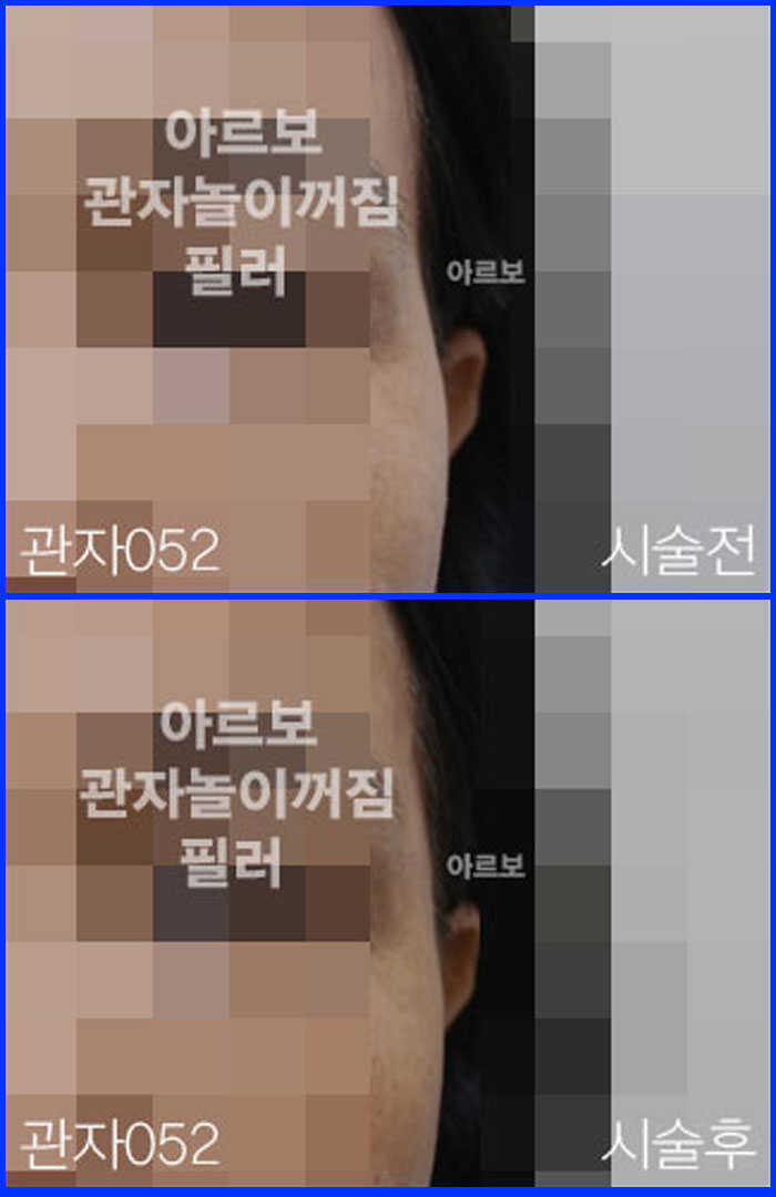 ڳʷ,ڳ븮ʷ