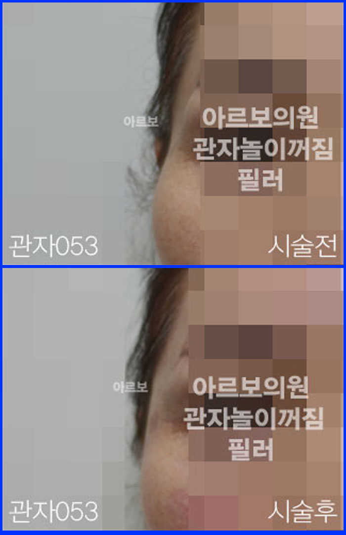 ڳʷ,ڳ븮ʷ