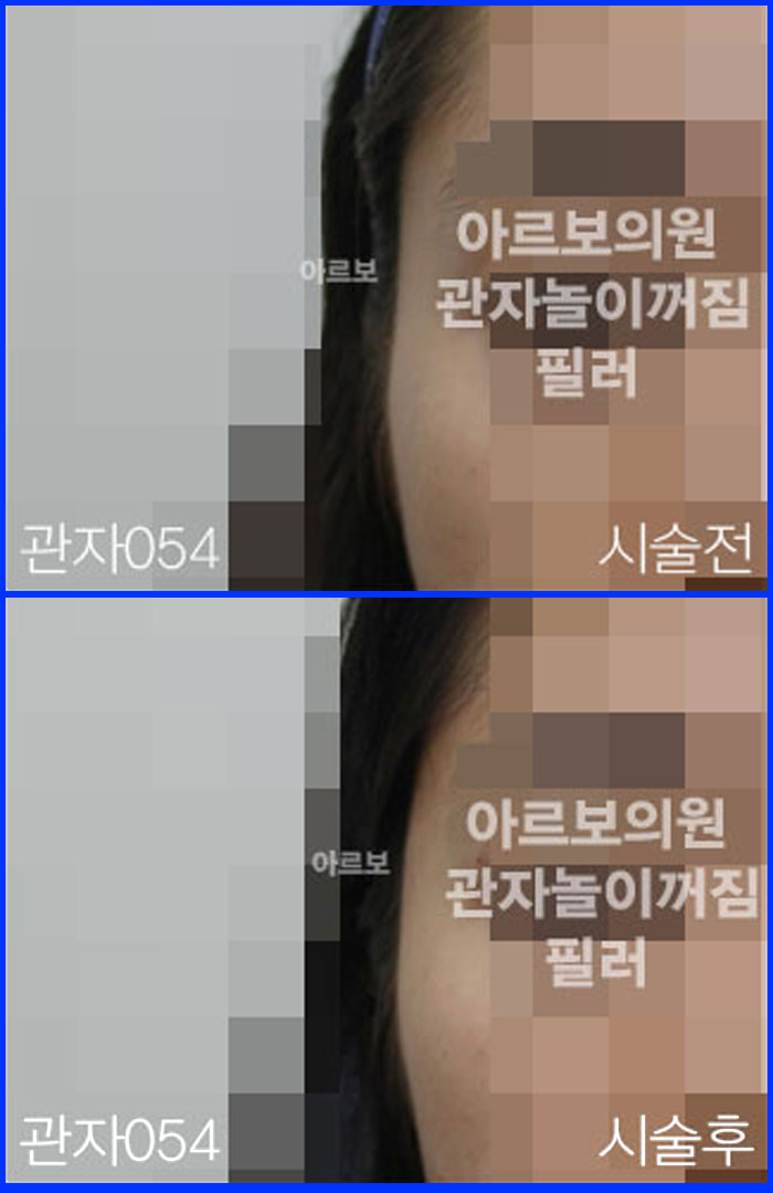 ڳʷ,ڳ븮ʷ