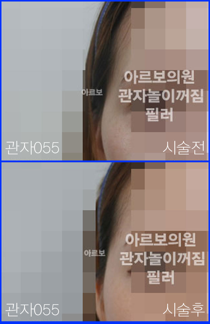 ڳʷ,ڳ븮ʷ