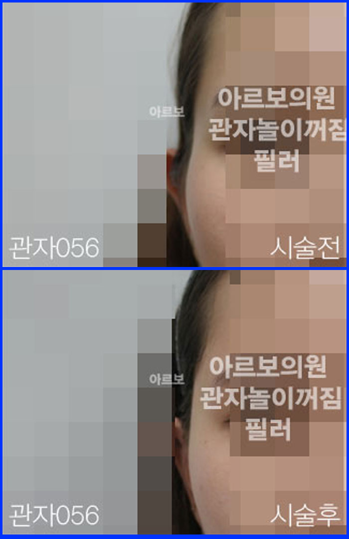 ڳʷ,ڳ븮ʷ