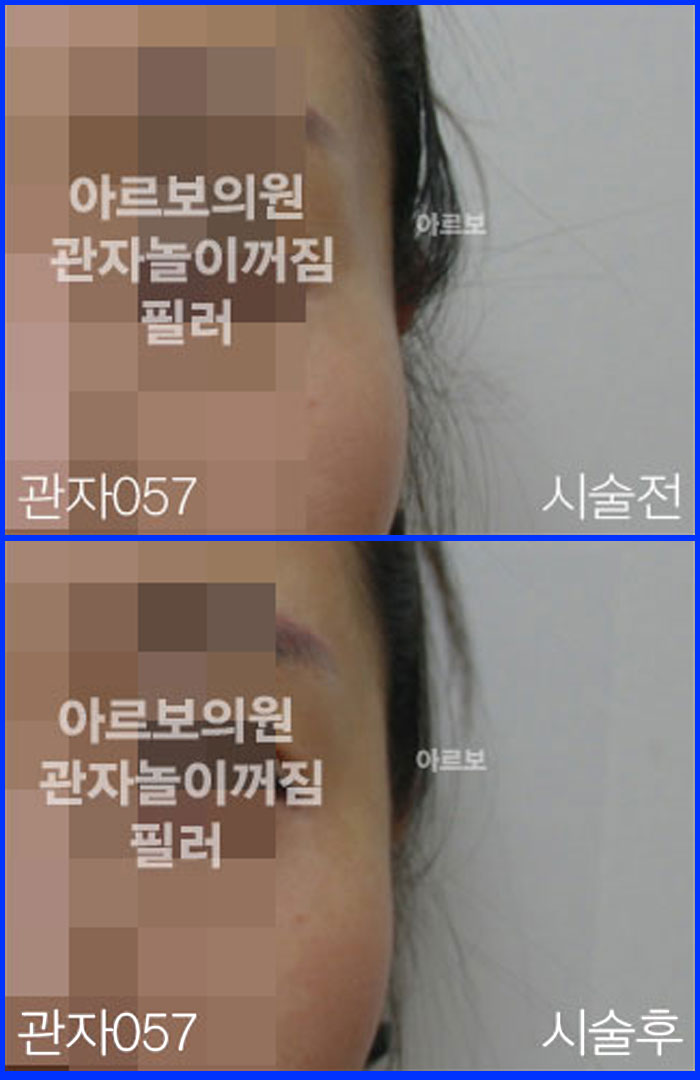 ڳʷ,ڳ븮ʷ