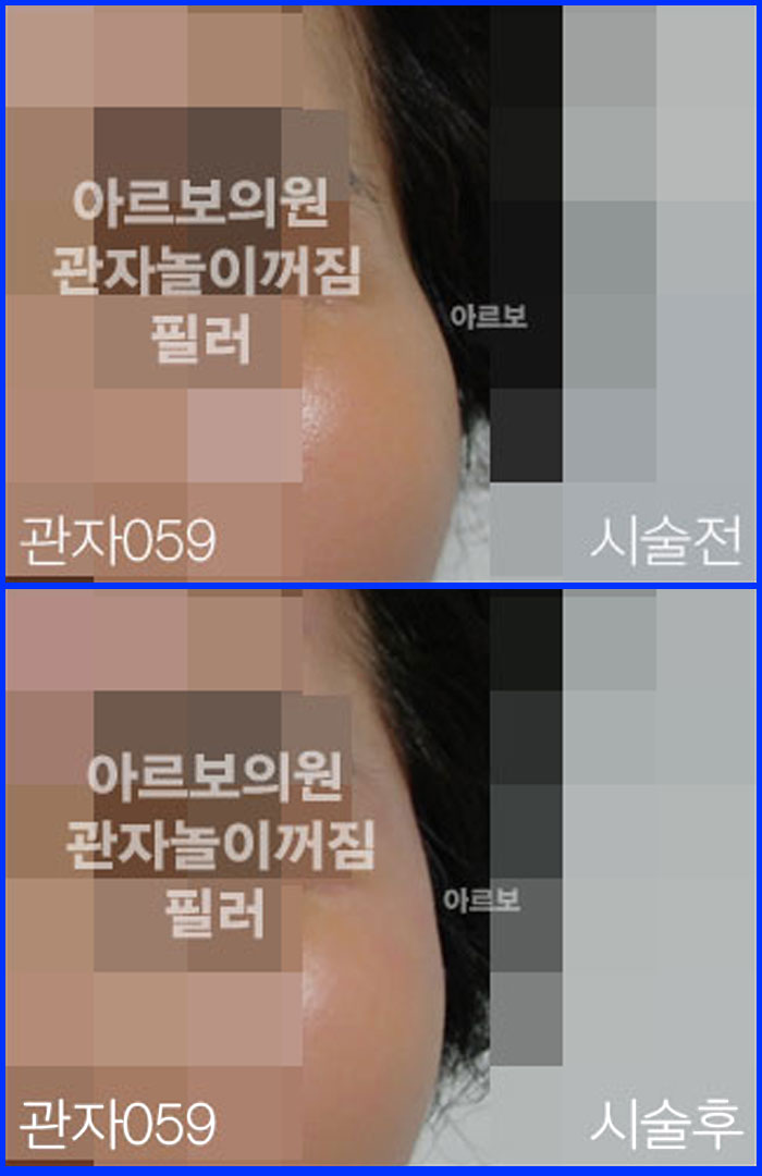 ڳʷ,ڳ븮ʷ