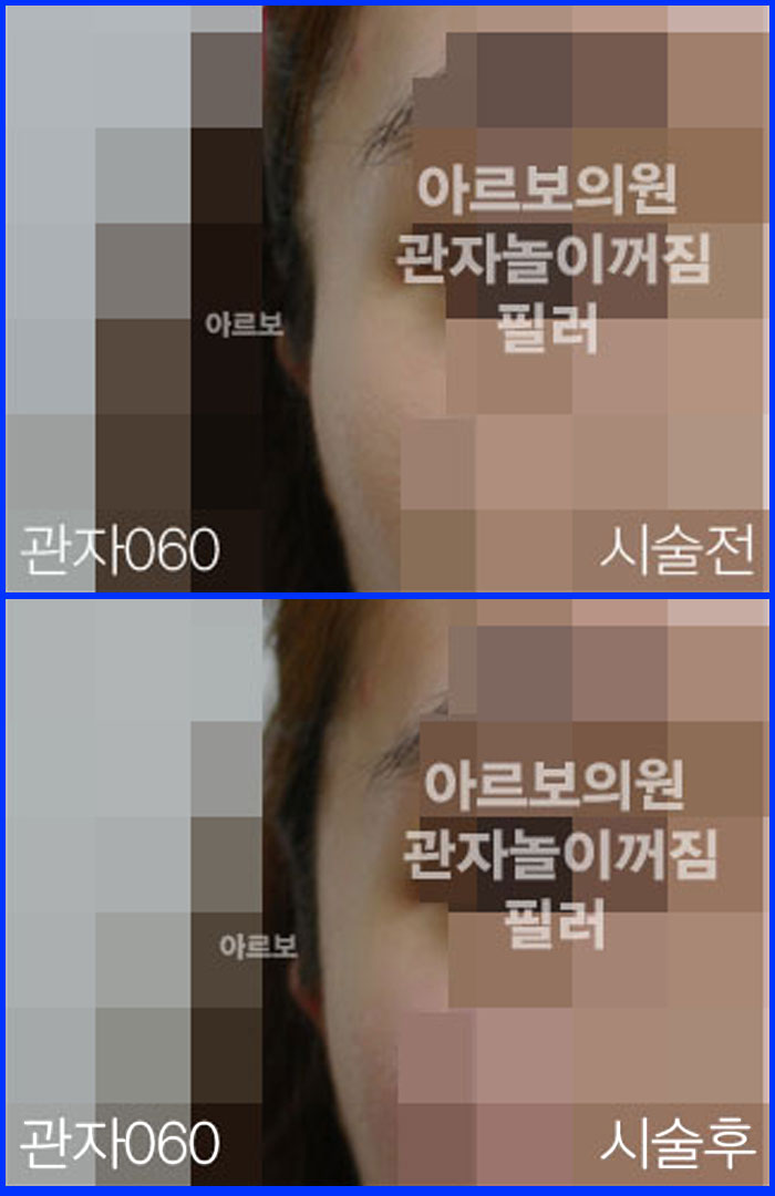 ڳʷ,ڳ븮ʷ