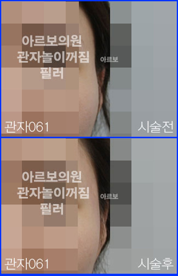 ڳʷ,ڳ븮ʷ