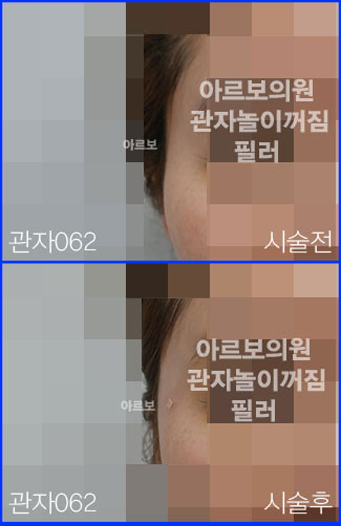 ڳʷ,ڳ븮ʷ