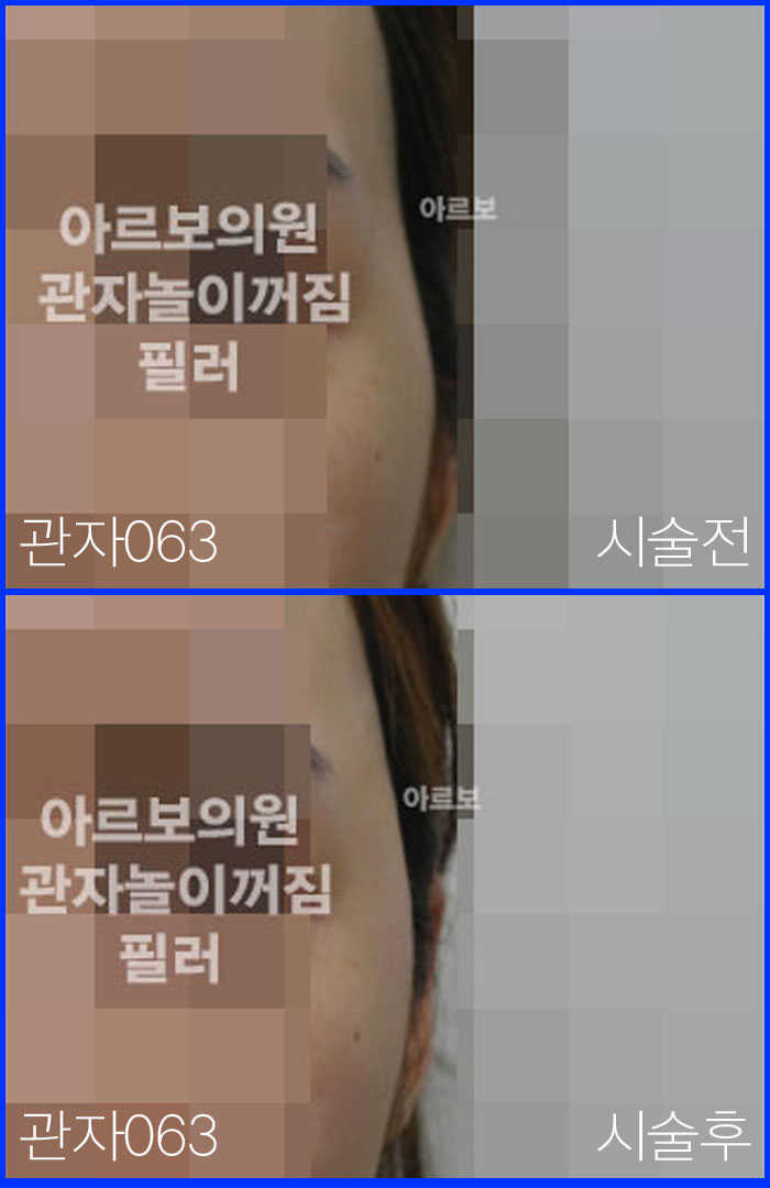 ڳʷ,ڳ븮ʷ