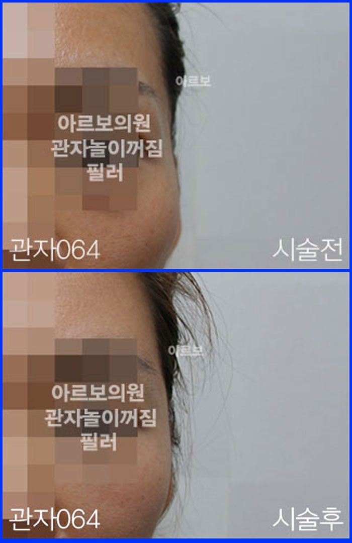 ڳʷ,ڳ븮ʷ
