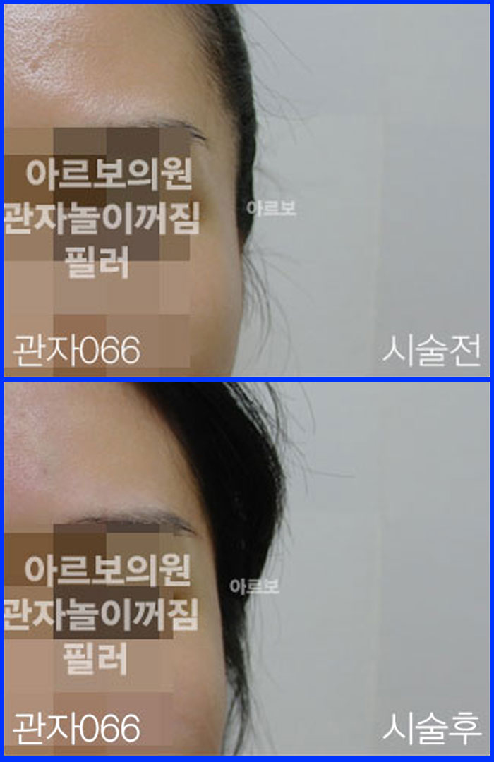 ڳʷ,ڳ븮ʷ