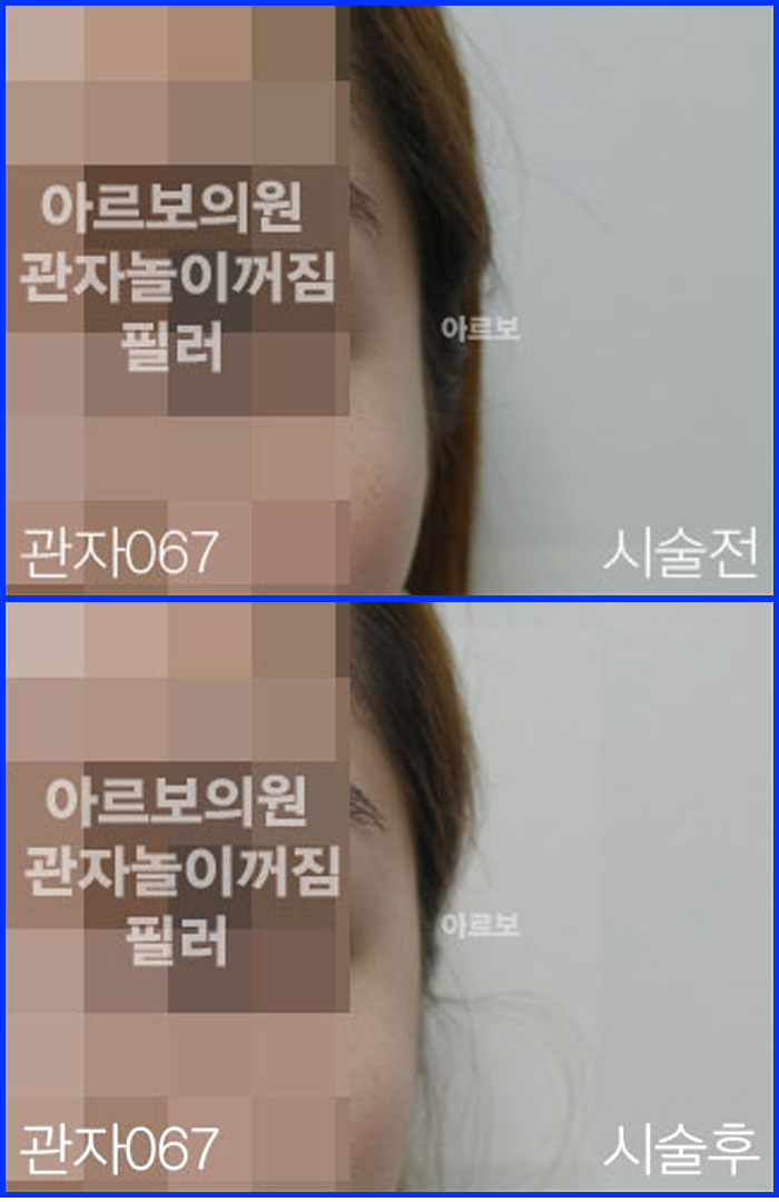 ڳʷ,ڳ븮ʷ