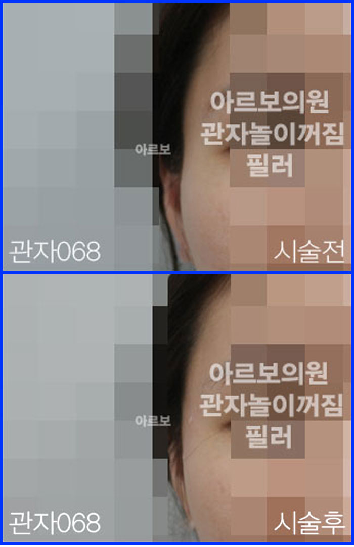 ڳʷ,ڳ븮ʷ